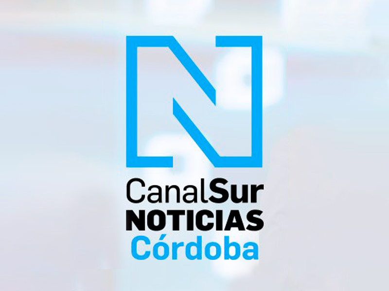 participantes-Foro-organiza-Asfaco-Cajasol_1365174100_101603544_667x375